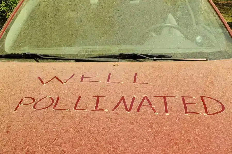 A car with the words well pollinated written on it.