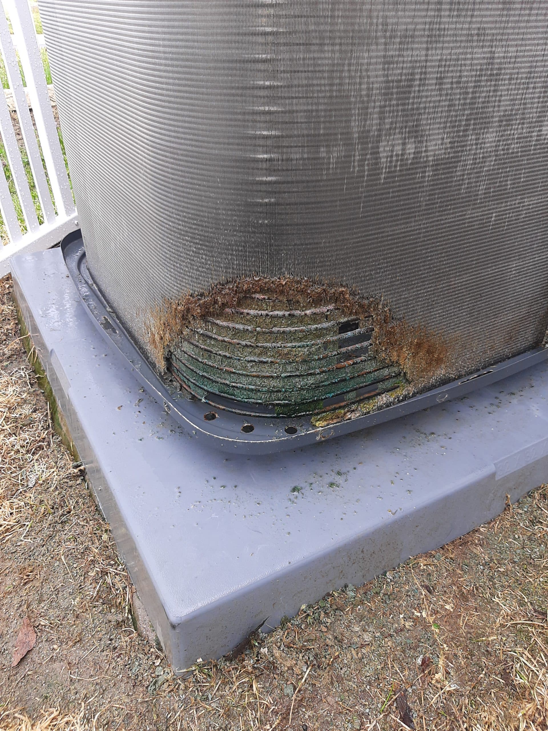 Who’s Peeing on Your Air Conditioner? MorrisJenkins