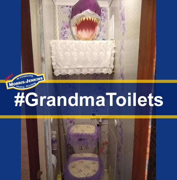 Grandma Toilet Image