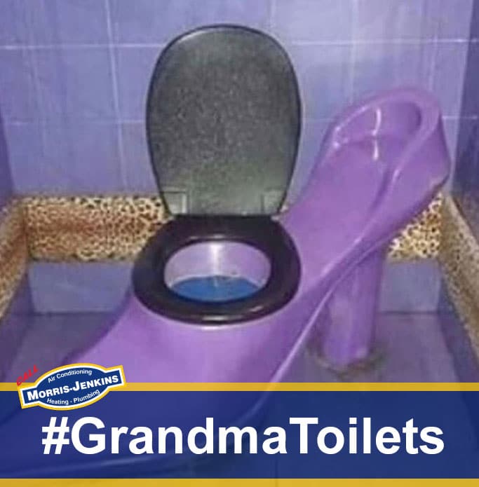 Grandma Toilet Image