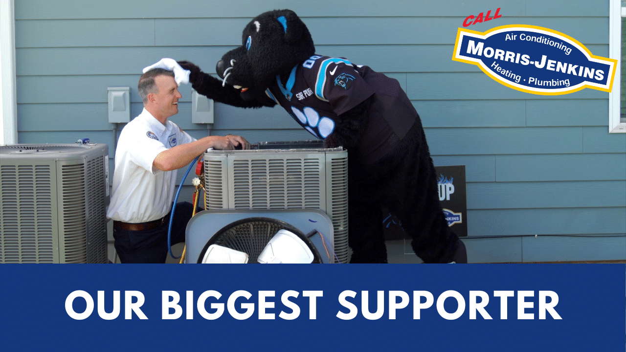 Sir Purr is Our Biggest Supporter!