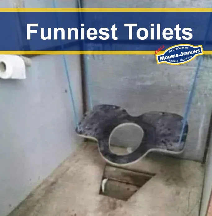 A picture of a swinging toilet with the words funny toilets.