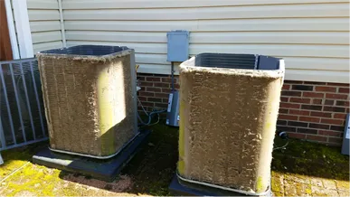 Pollen in North Carolina