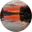 Dan Drees profile picture